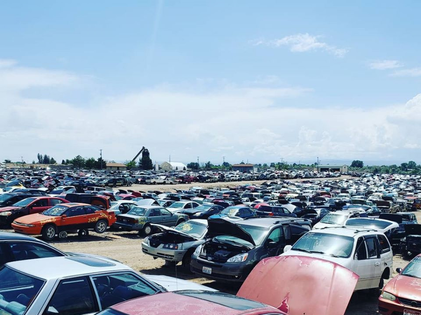 Car Buyers in Nampa, ID PickAPart Jalopy Jungle